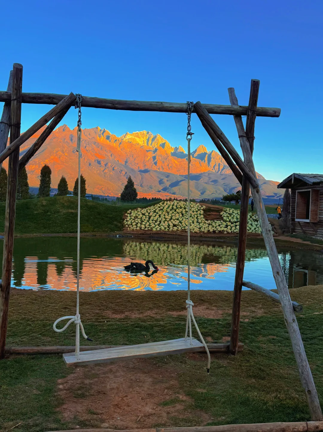 雪山、天鹅、木屋、秋千🏡丽江无人的秘境