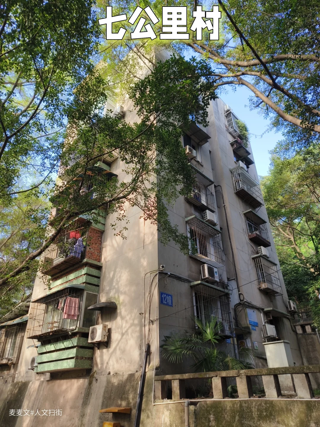 【南岸】七公里村老家属院里的治愈系光影