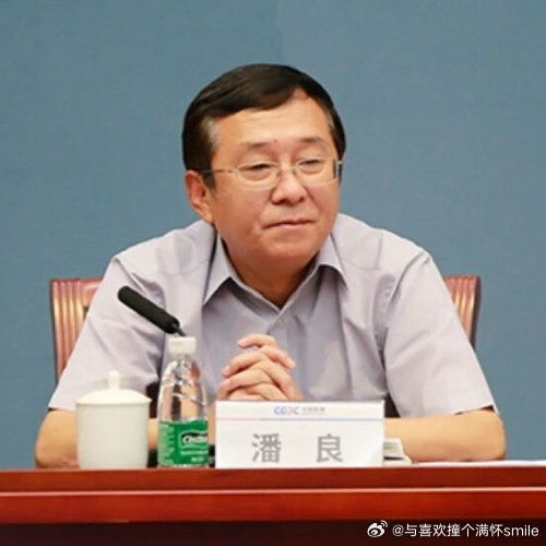 检察机关依法对潘良涉嫌受贿、利用影响力受贿案提起公诉 ​