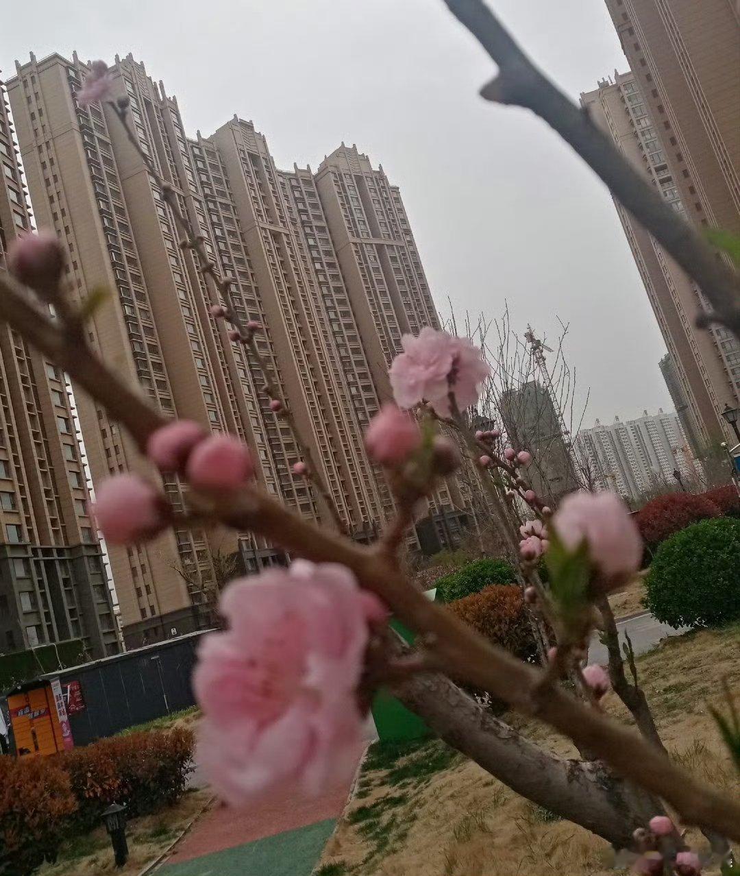 《西风初》

西风初掀夜寒潮，霜染青瓦梅枝俏。
万千往事满天飞，倚窗似梦雪花飘！ 

                                      （过去作品） ​  ​  ​  ​
