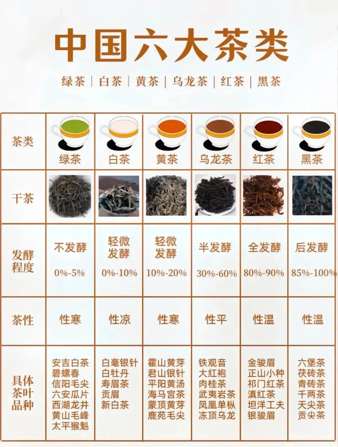 初入门爱茶人必看：中国六大茶类科普
