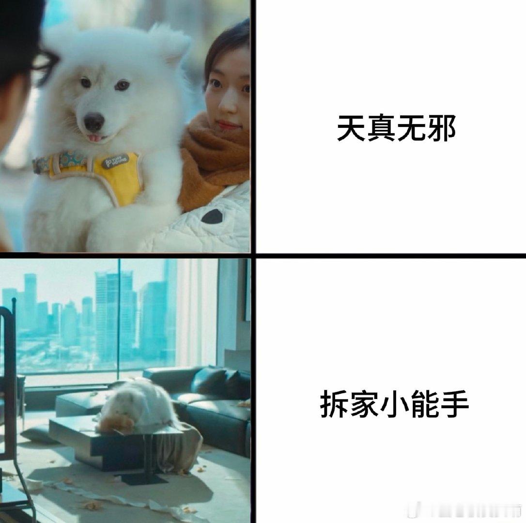 #早春晴朗品鉴大赛#
这个《早春晴朗》真的太好看了！嘴毒心软的栾念&可爱坚定的尚之桃太般配了～栾念你就承认吧你超爱的！这种反差真的太好品了[不愧是你] ​