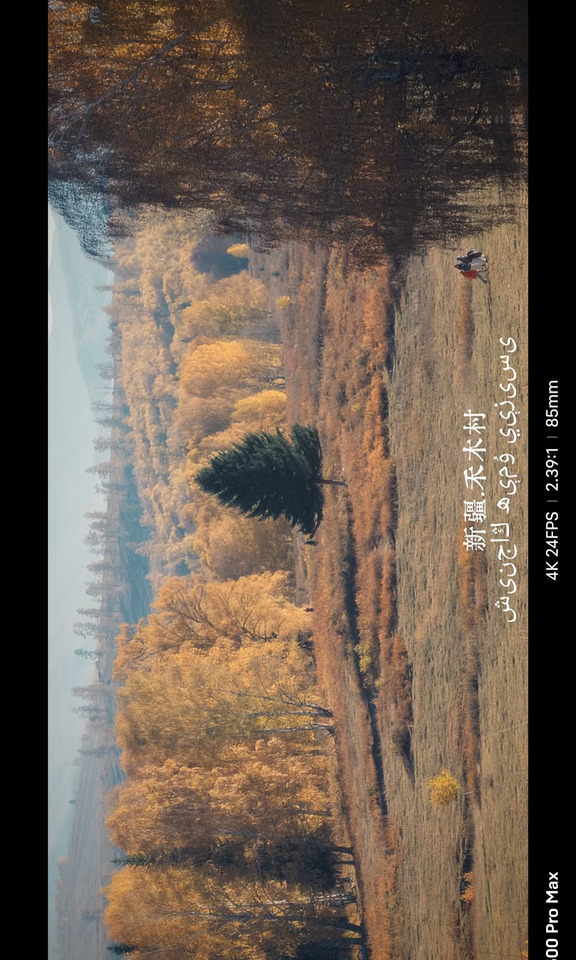 新疆戒断反应02｜秋色里的禾木村