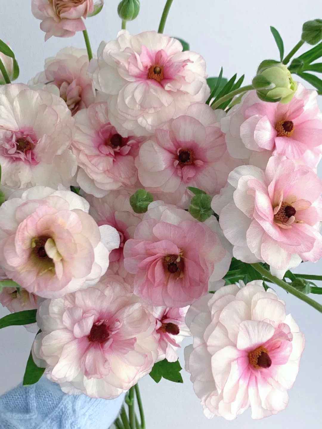 花材分享｜“我们热爱，所以我们存在”