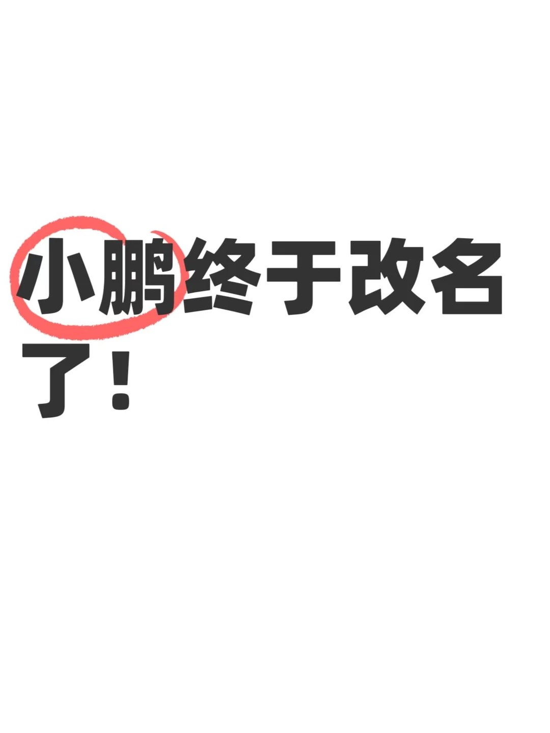 刚刚，小鹏汽车在港交所公告