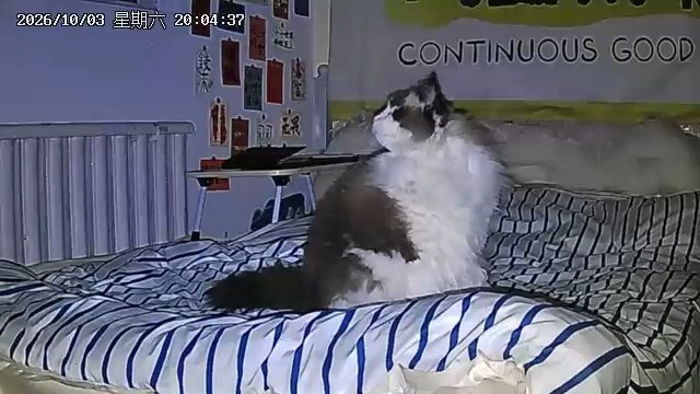 咪当留守儿童的一天 ​