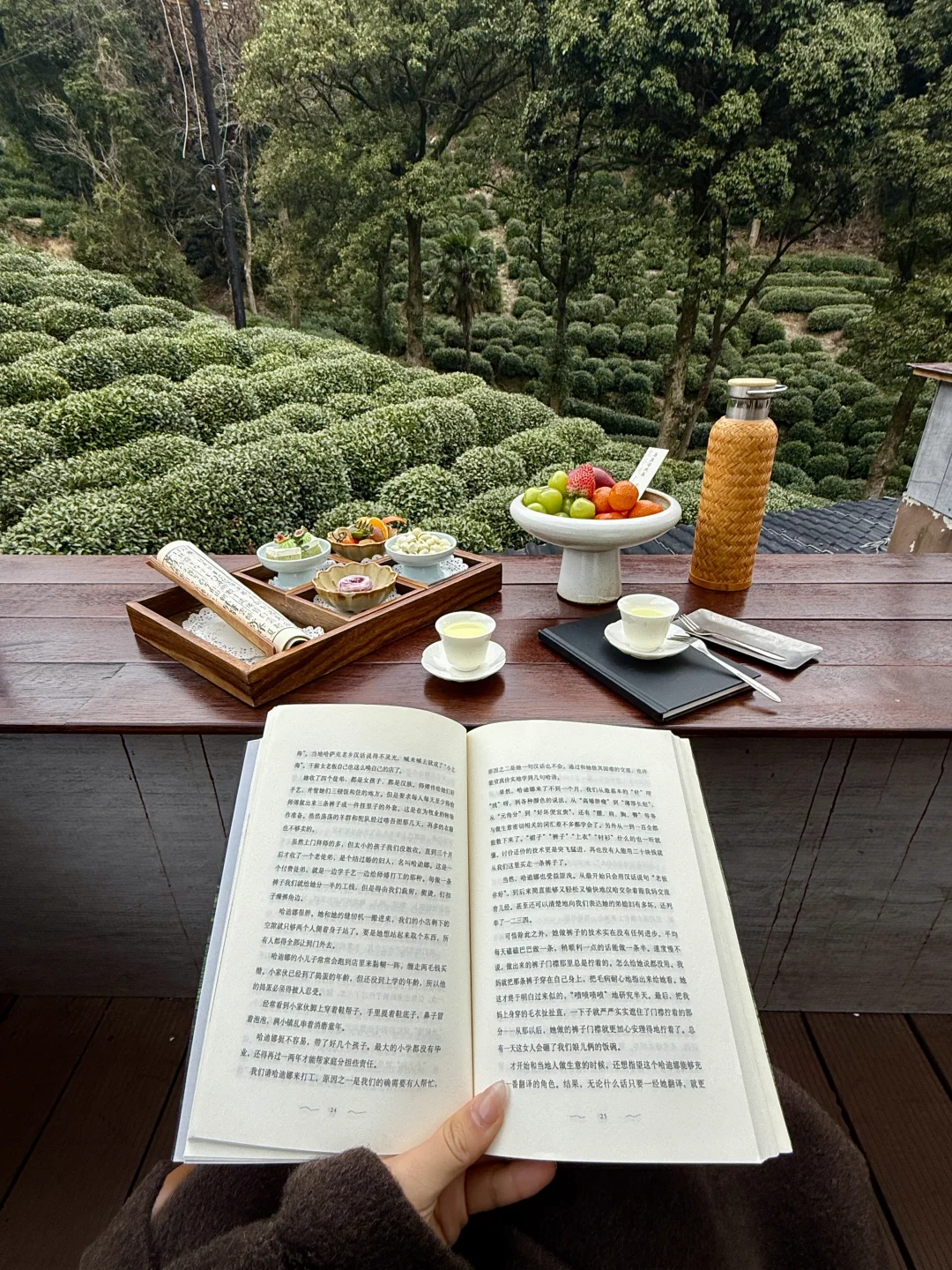 杭州龙井就是个巨大的能量场🍃