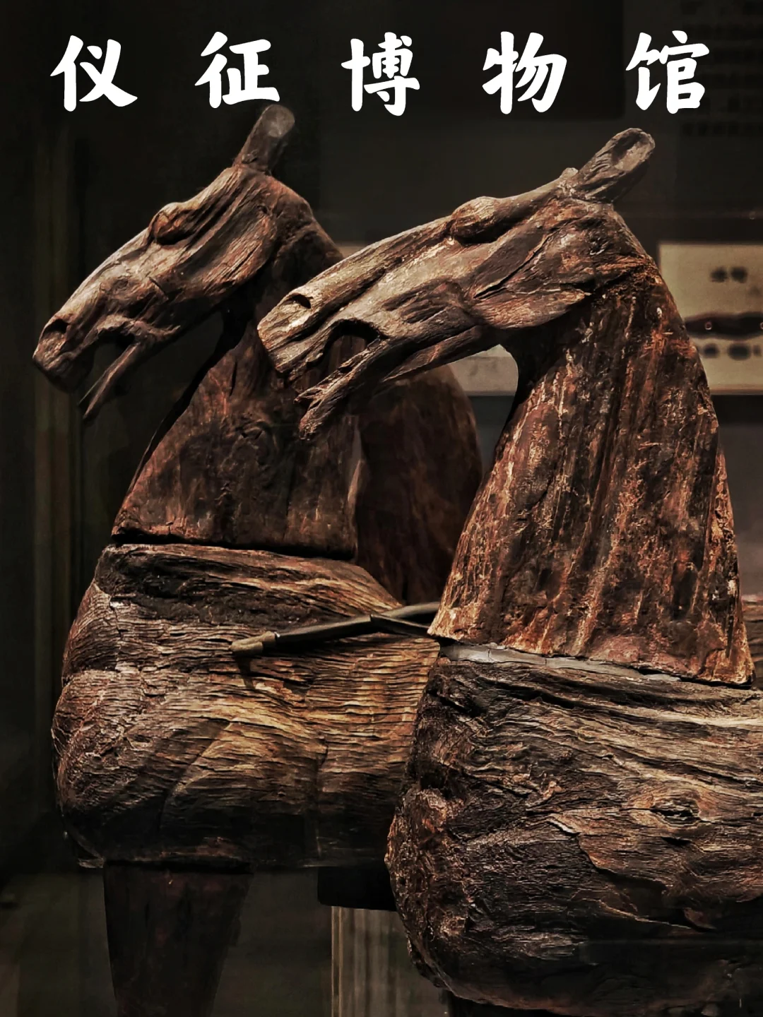 博物馆打卡｜仪征博物馆