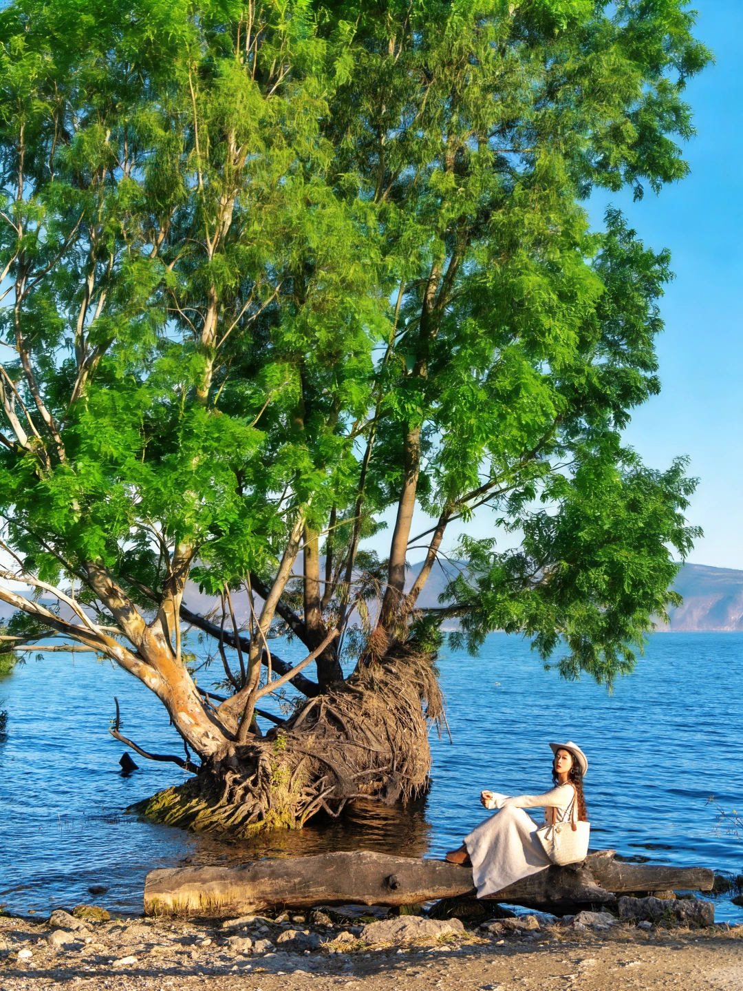 去过大理10次🍃我每次都会花半天去海西！！