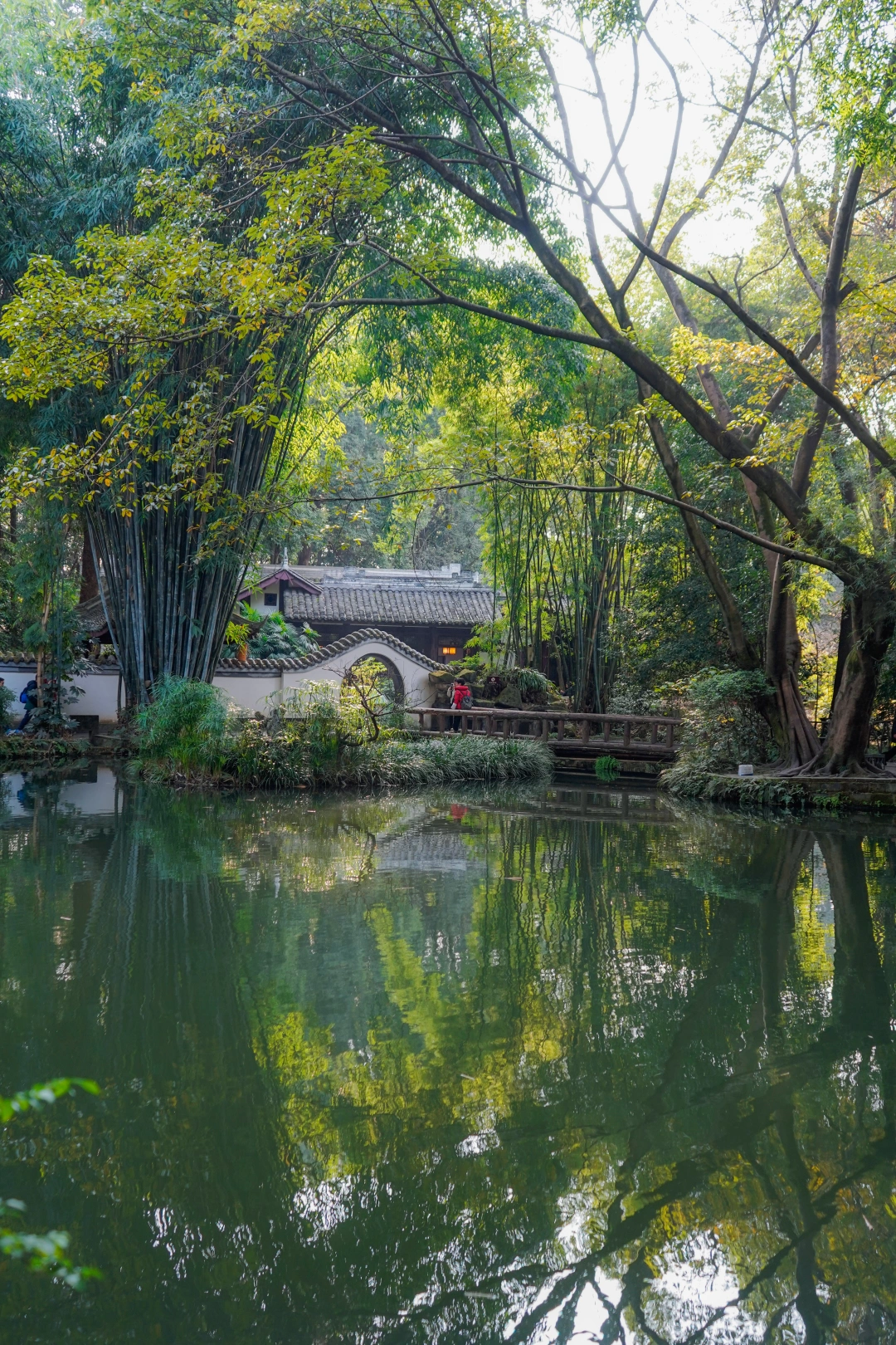 成都市区值得一年去3次的宝藏古风园林