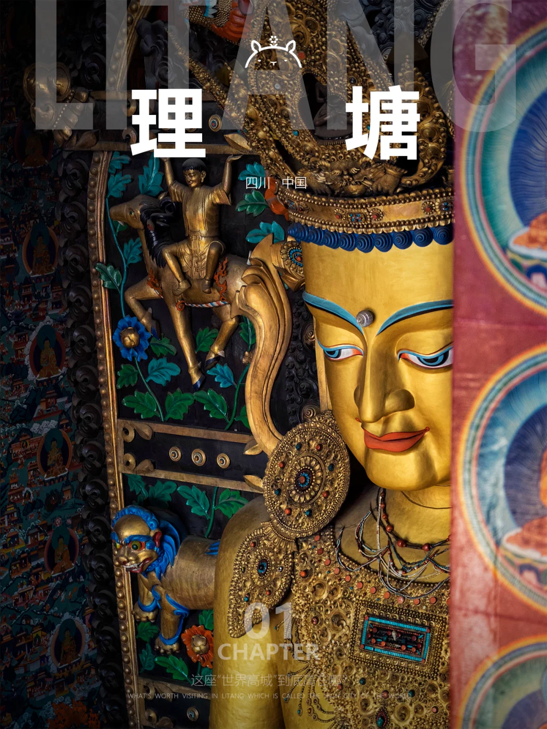 什么是理塘01|答应我，下次请好好看看ta