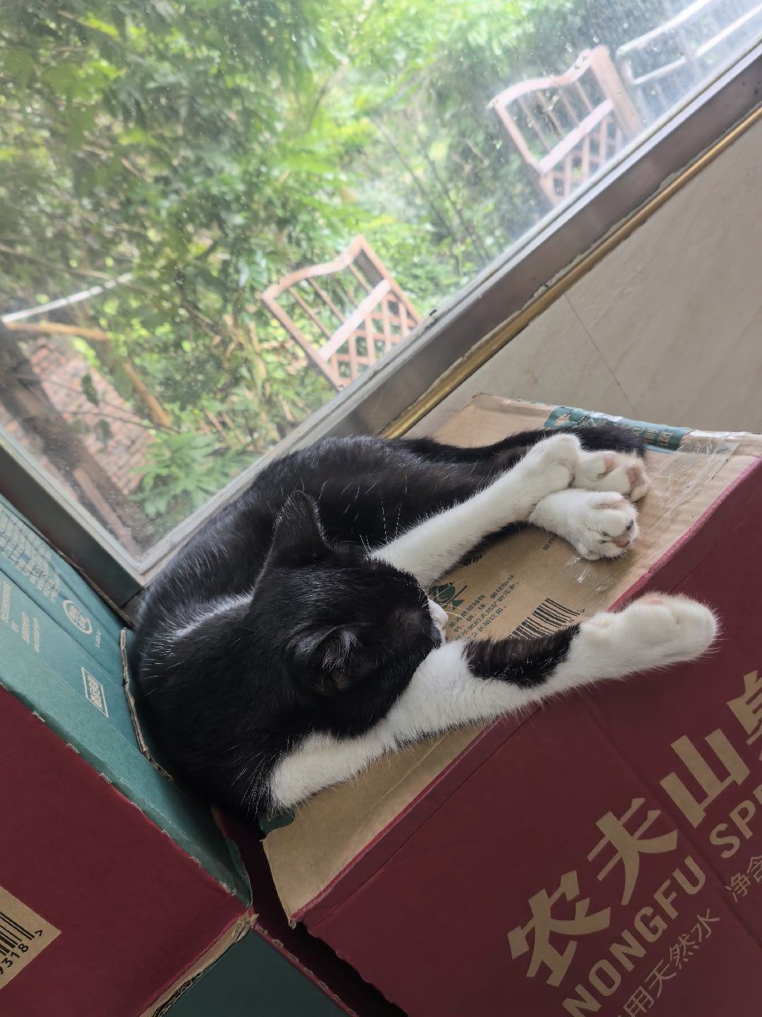 山西这个地方啊，，， 未成年人，甚至还不满十四周岁。  你说警察不懂法...