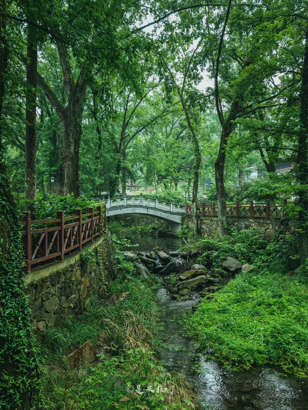 武汉小“神农架”徒步溯溪探险，人少附攻略💯