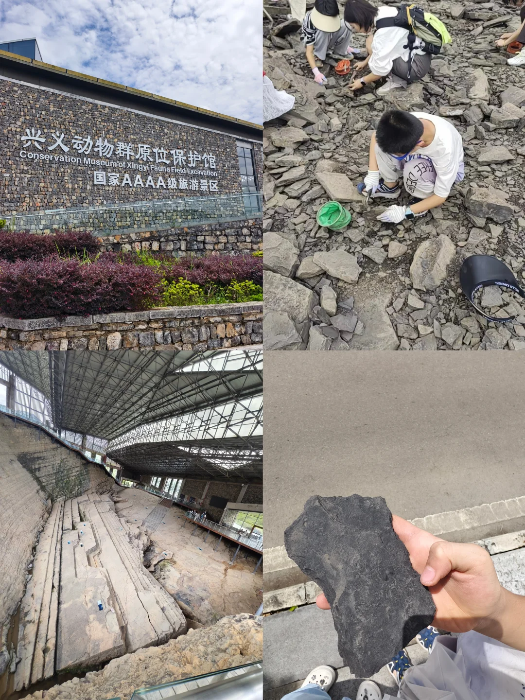 兴义挖化石刚回❗千万别去错地方⚠️