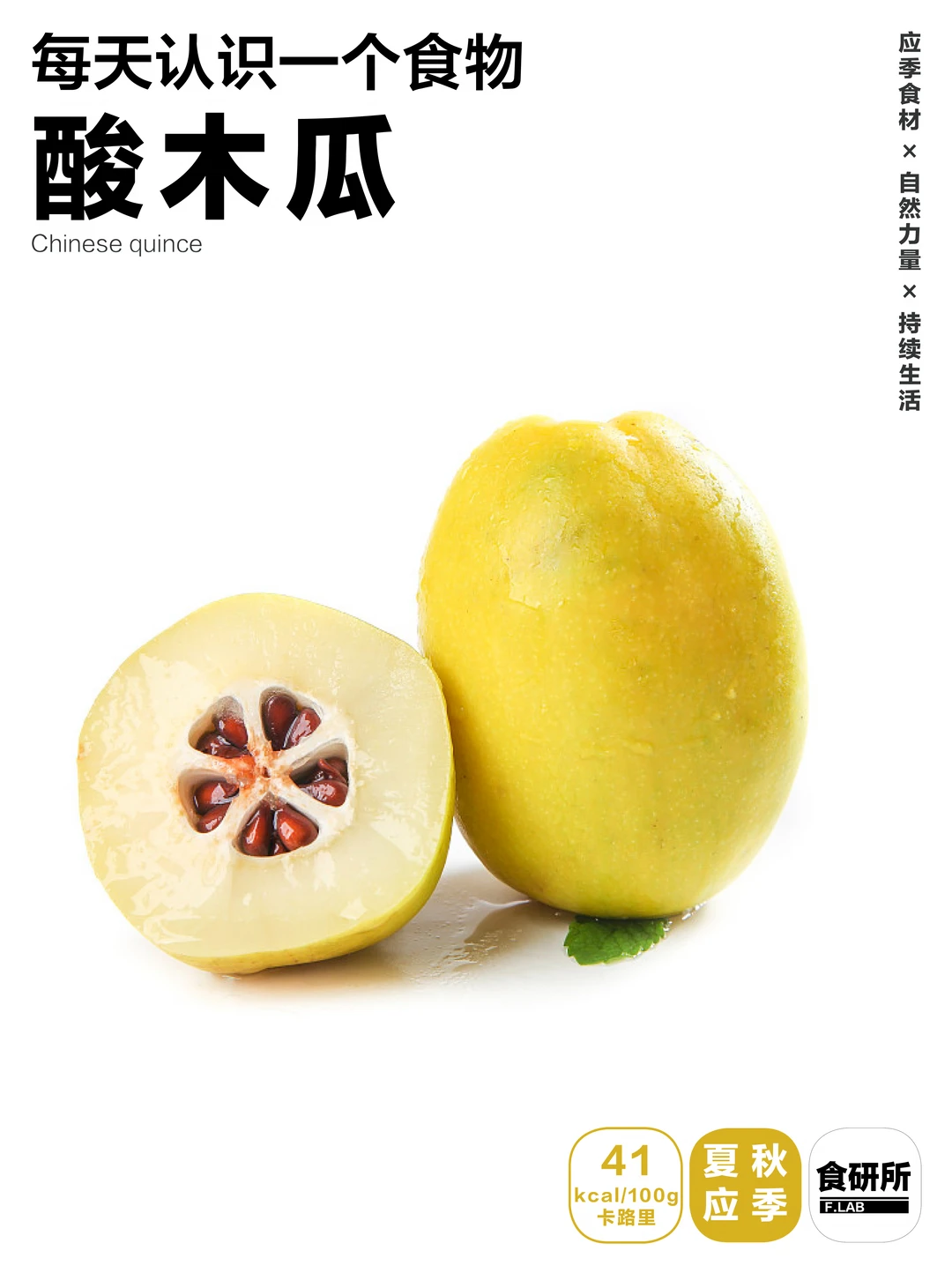 酸木瓜｜滇西天然醋