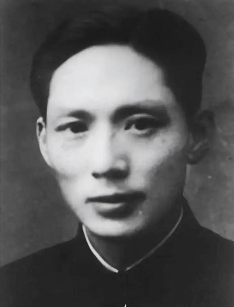 1956年，东阳县公安干警迅速出动，冲进一家木匠铺，逮捕了掌柜单银昌。手铐戴到手上，单银昌还在大喊大叫：“我老实本分，你们凭什么抓我？”局长瞪了单银昌一眼，怒斥：“死到临头，你还敢叫嚣？”
 
单银昌被两个干警架着胳膊往外拖，脚在门槛上绊了一下。他扭头朝柜台后面喊：“桂芳！看好铺子！”他老婆从里屋探