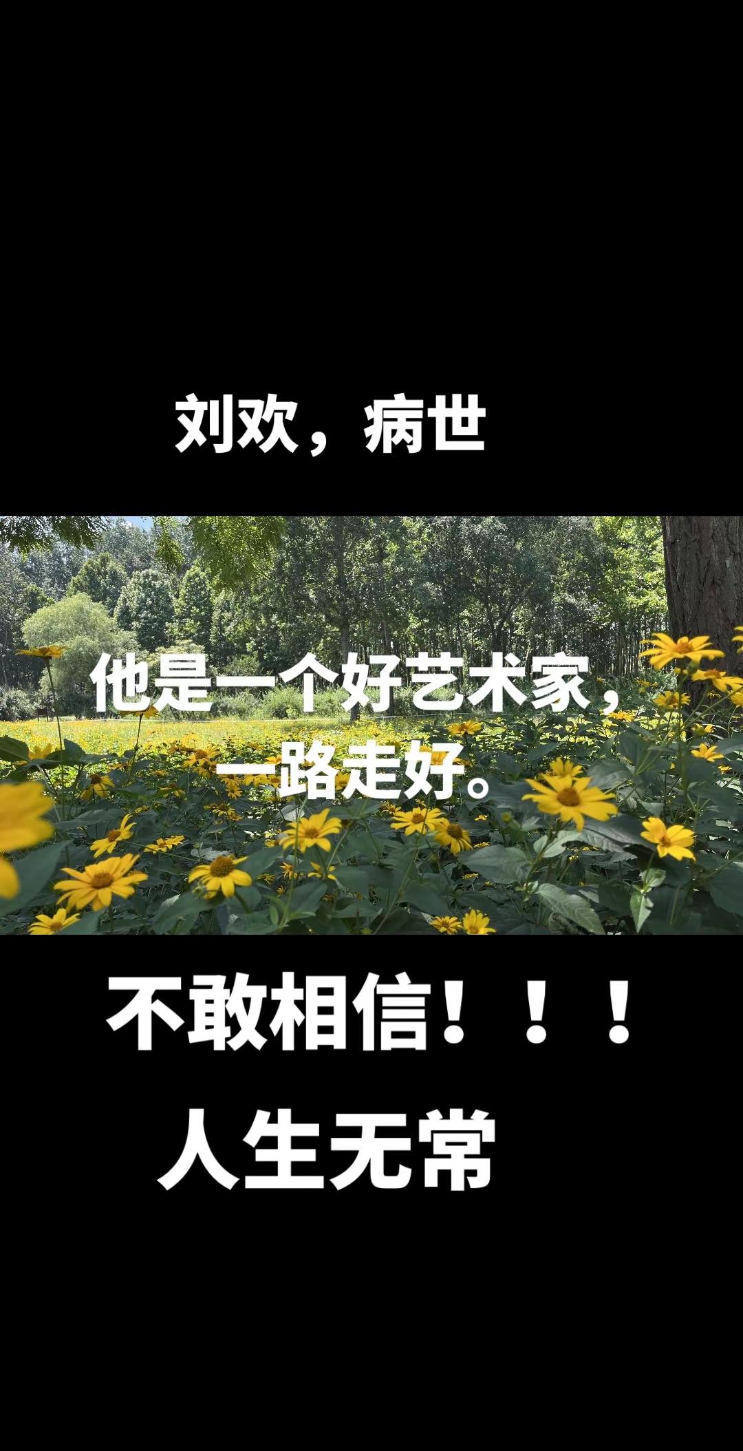 刘欢