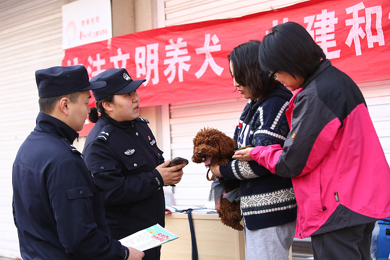 遛狗没牵绳，小狗冲上马路被车撞死，交警到场一句“未牵绳的狗一律按野狗处理，你要是认这狗是你的，还得赔车主修车费”的说法刚传开，全网瞬间一边倒点赞，都夸这才是不和稀泥的公正执法。
就在所有人都觉得交警判得没毛病的时候，律师的专业解读直接成了整件事的转折点：交警的责任判定没错，但“按野狗处理”的说法并不