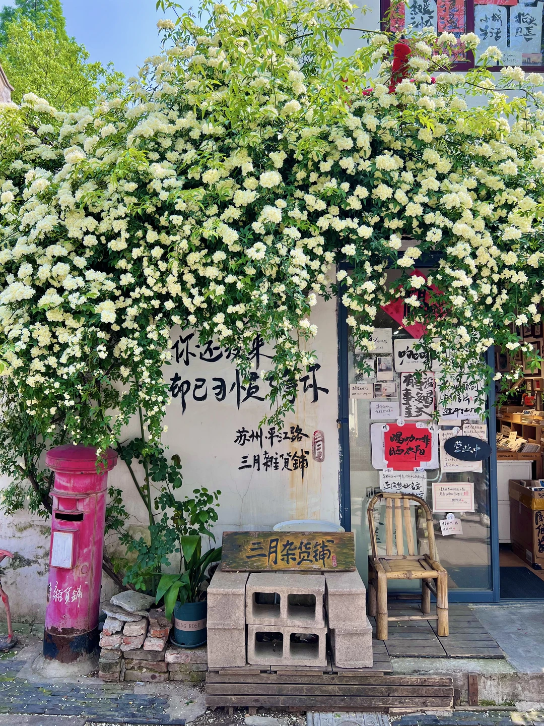 接下来的苏州🍃是一万次的春和景明！！！！！！