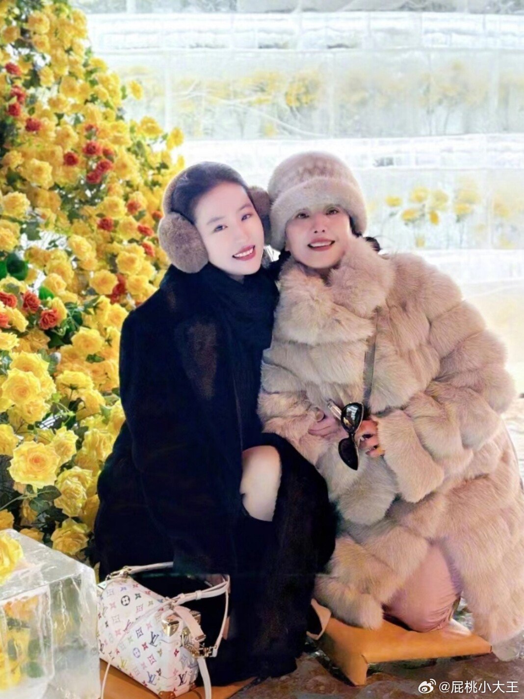 #刘亦菲妈妈的水袖舞#刘亦菲妈妈真的是纯正仙女 ​