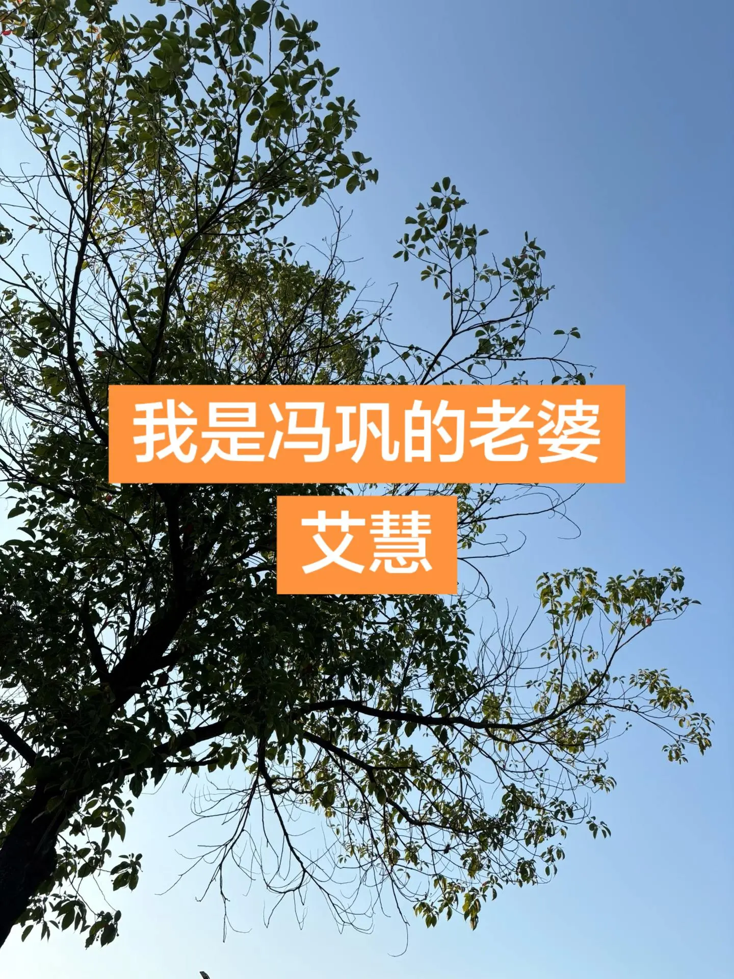 【现场直击：文班亚马远超三分】这恐怖的射程！加时关键时刻马刺落后3分，文班刚过半场直接出手超远三分扳平比分！nba季后赛马刺vs雷霆文班亚马远超三分 情感