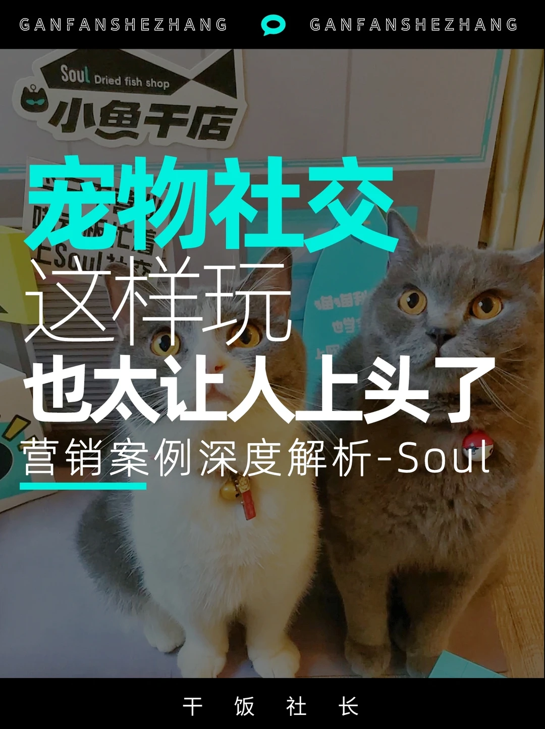 Soul的宠物社交这样玩，广告都是给猫看的