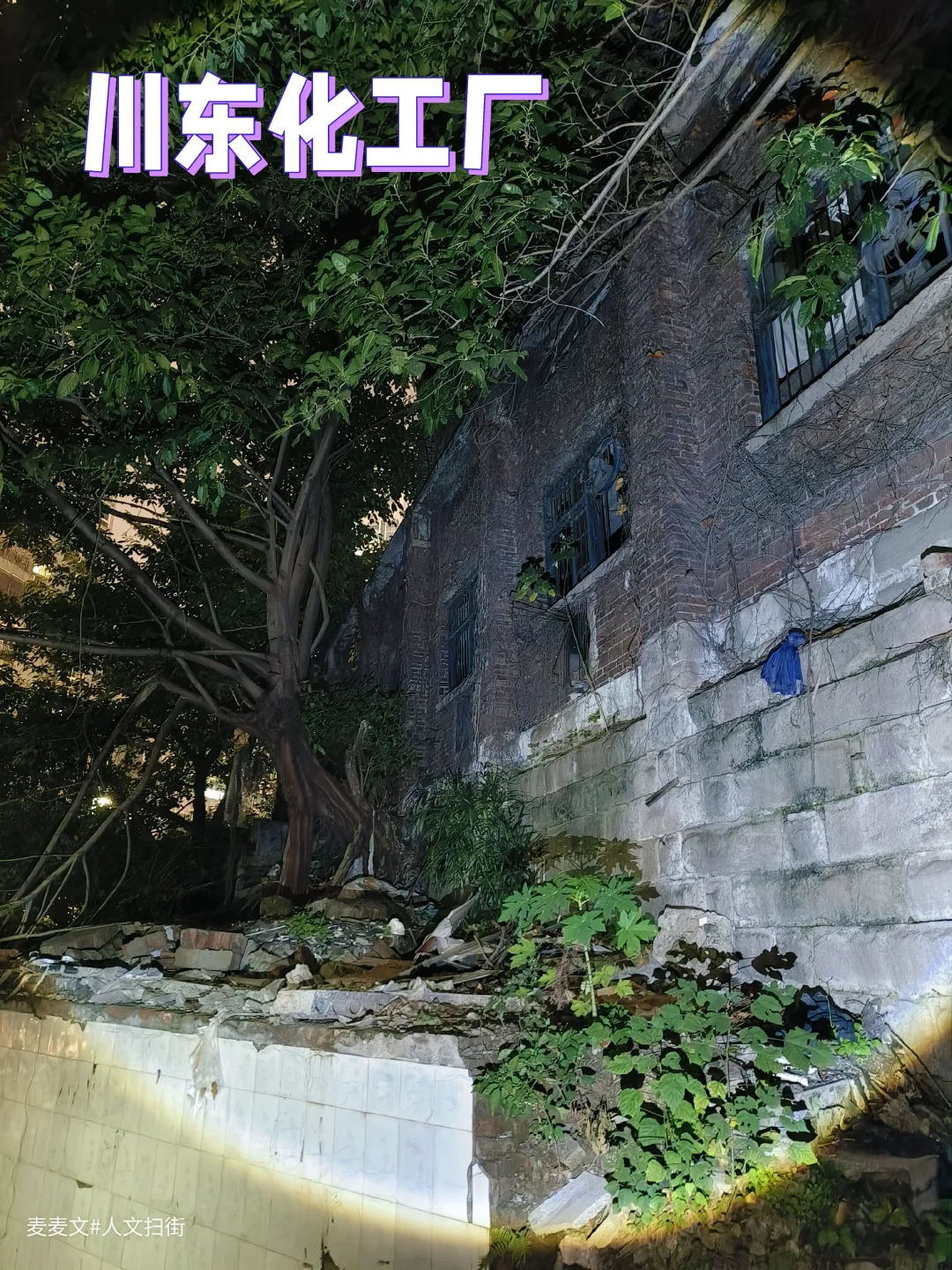 【南岸】弹子石撞见川东化工的半世纪时光