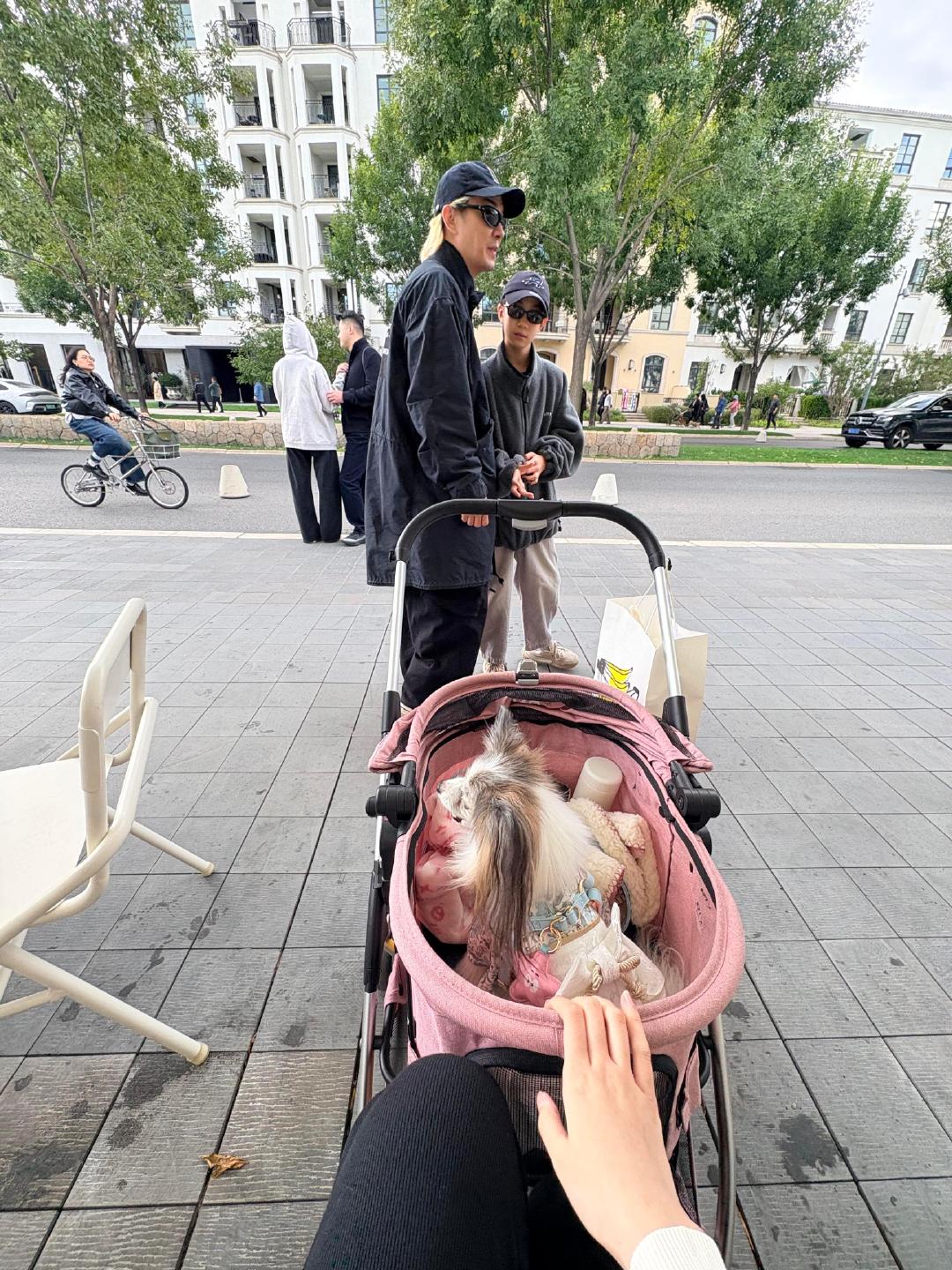 #李承铉偶遇的狗都像戚薇# 
我要被这个李承铉笑晕了
李在阿那亚遛狗偶遇一网友正在遛狗，谁能懂这狗狗的模样真的太像戚薇了吧！
特别是某些角度简直一模一样哈哈哈哈！
李承铉偶遇的狗都像戚薇哈哈哈哈[泪奔][泪奔][泪奔] ​