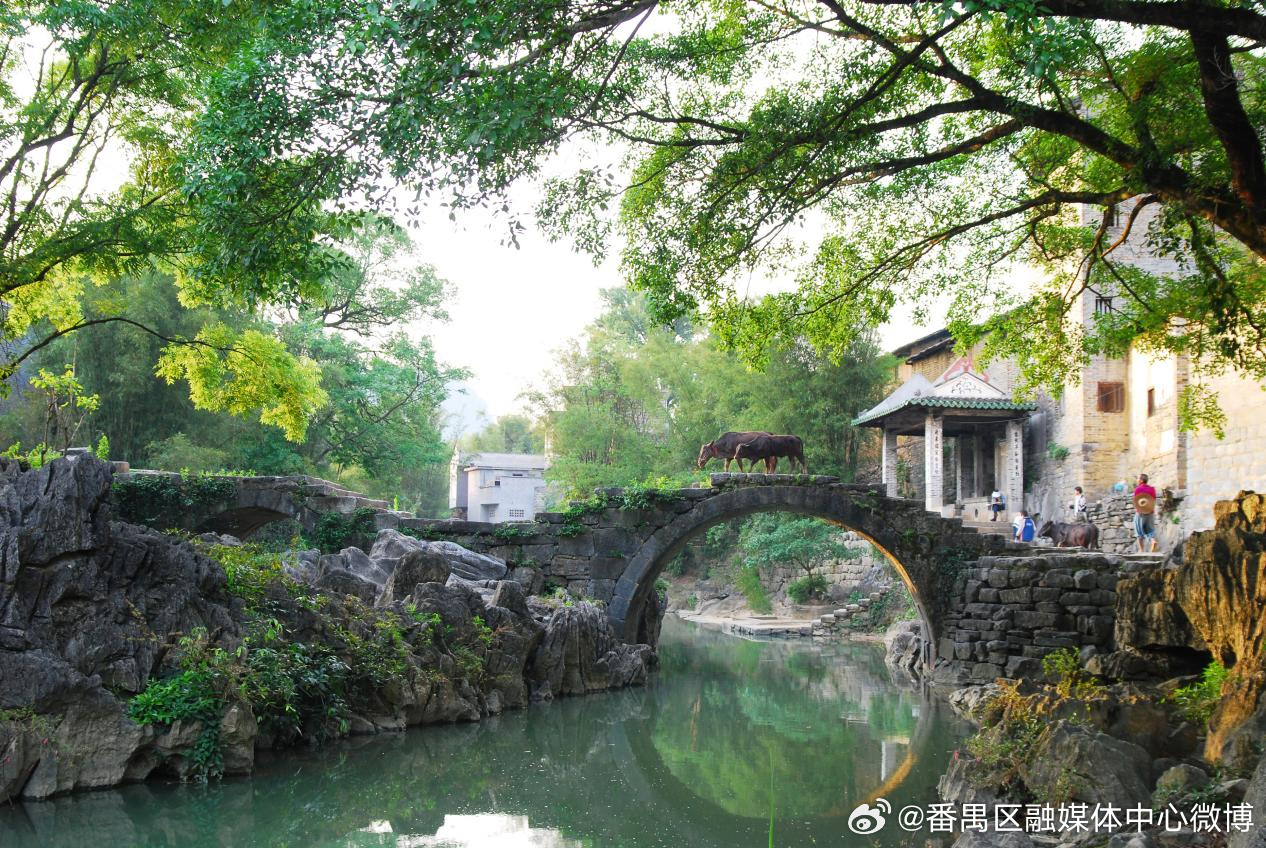【2026年“粤港澳大湾区主流媒体贺州行”文旅主题采访活动启动】7月1...