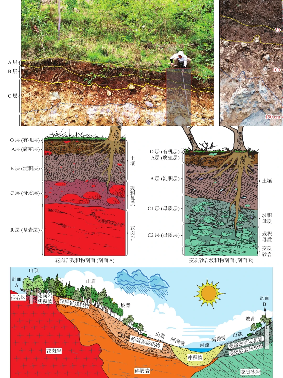 淋溶层消失之谜:西北的土壤剖面很特殊！