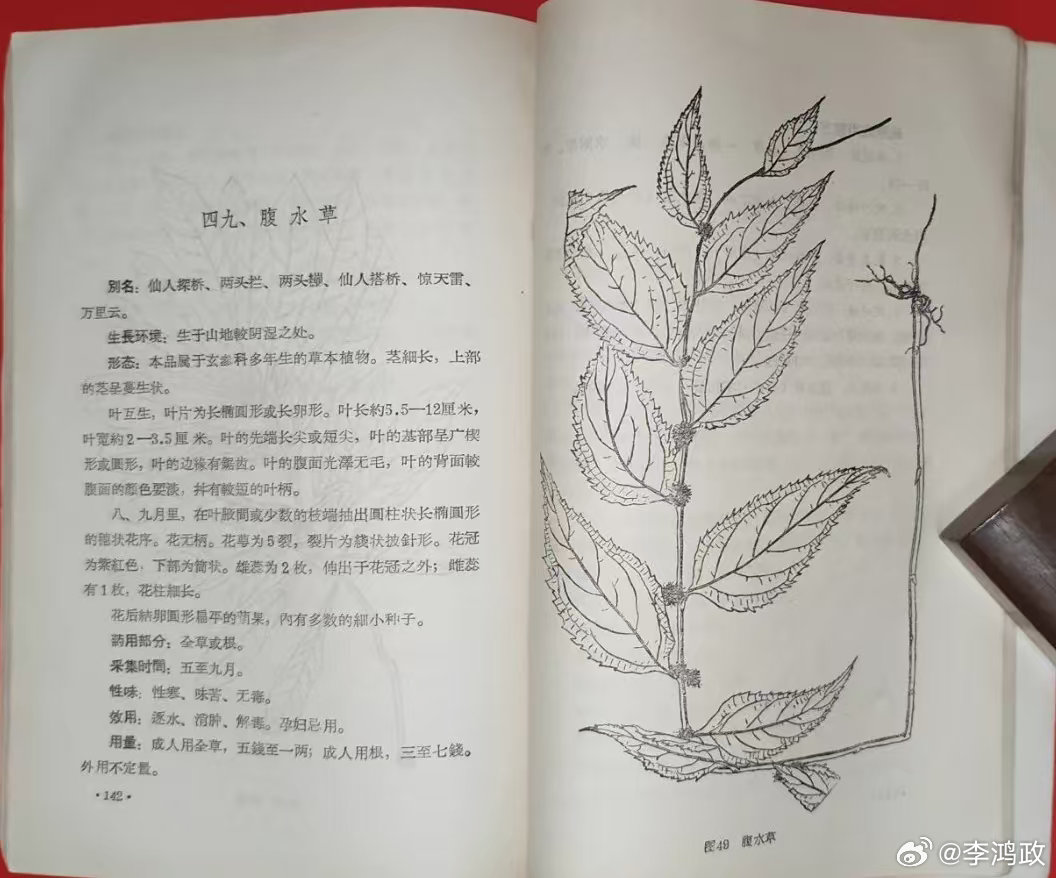 很多时候，中草药真的是物美价廉。  虽然不能处理所有情况，但很多时候中...