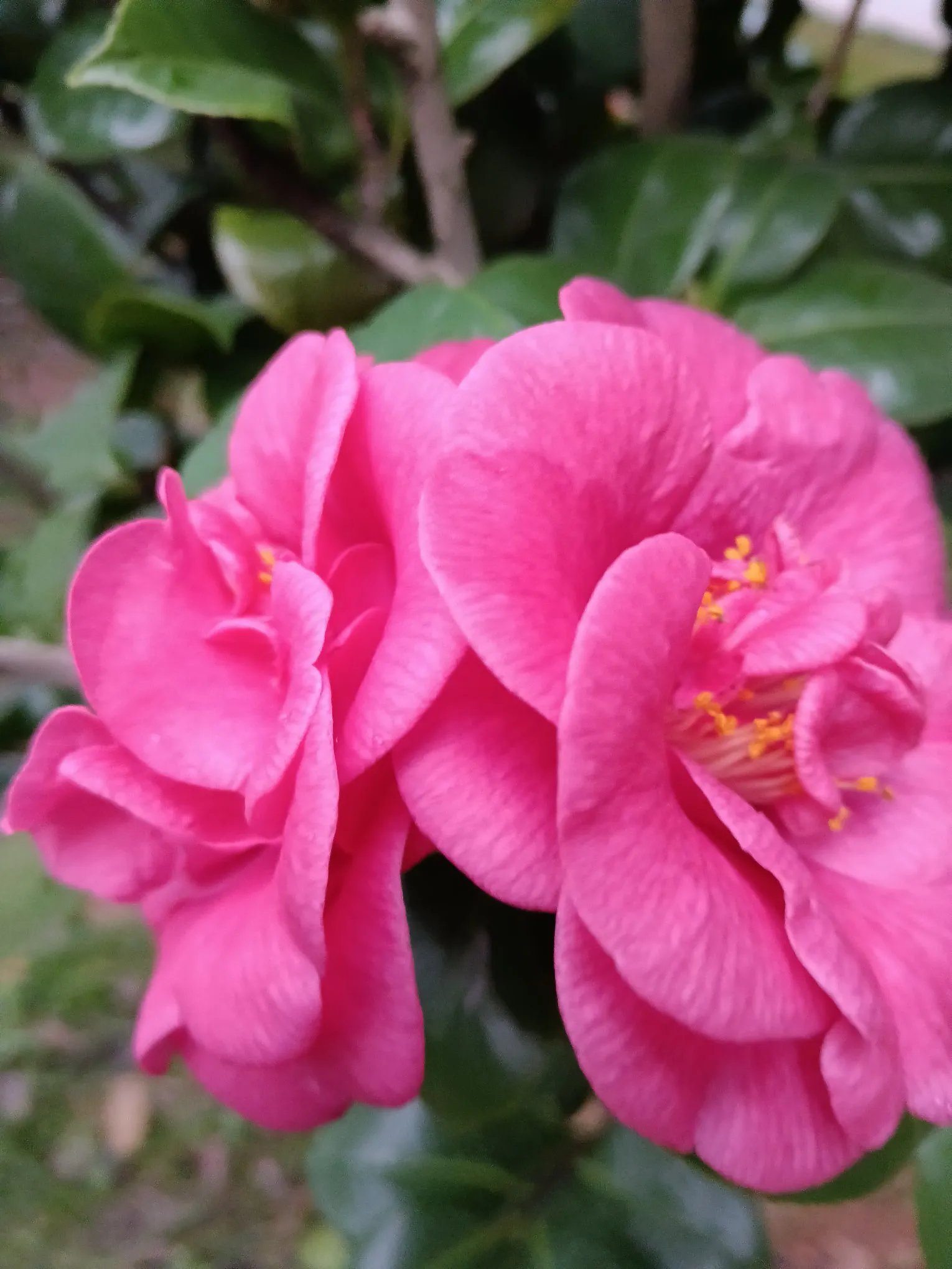 当一方有暴脾气时，包容能避免矛盾升级，维护感情