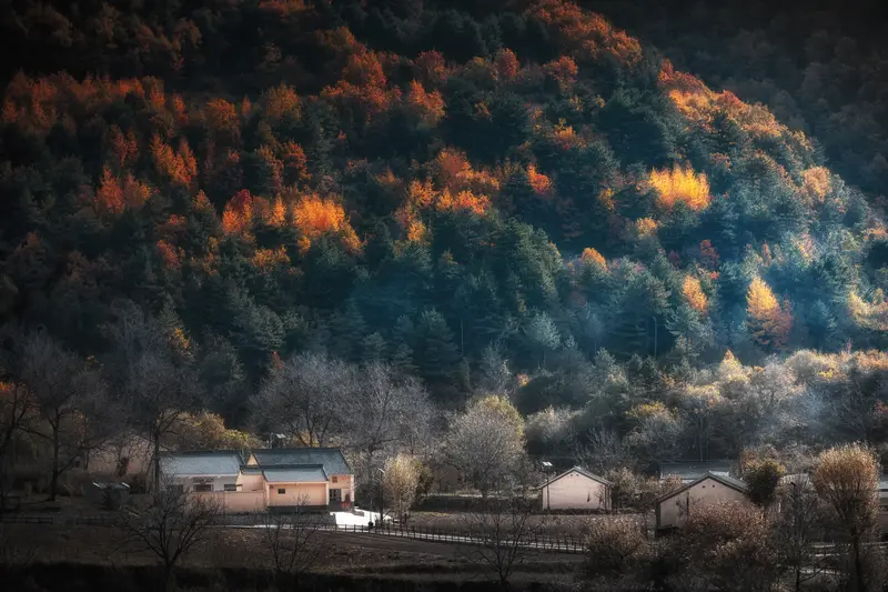 总有人纠结两个人交往多久能拥抱接吻，其实时间不是关键。有人相处3天就想...