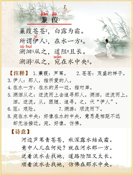 古诗词解析 | 诗经《蒹葭》