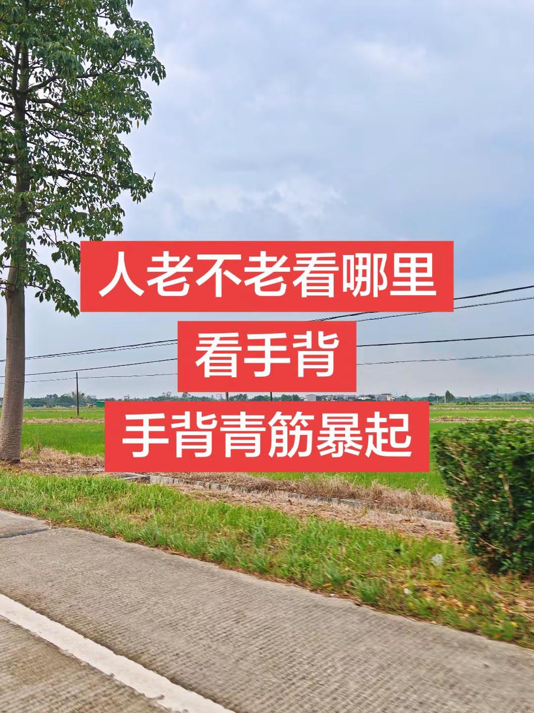 马刺还是太年轻了，关键失误&amp;绝杀不中，马刺主场再负尼克斯文班亚马错失绝杀尼克斯105比104险胜马刺