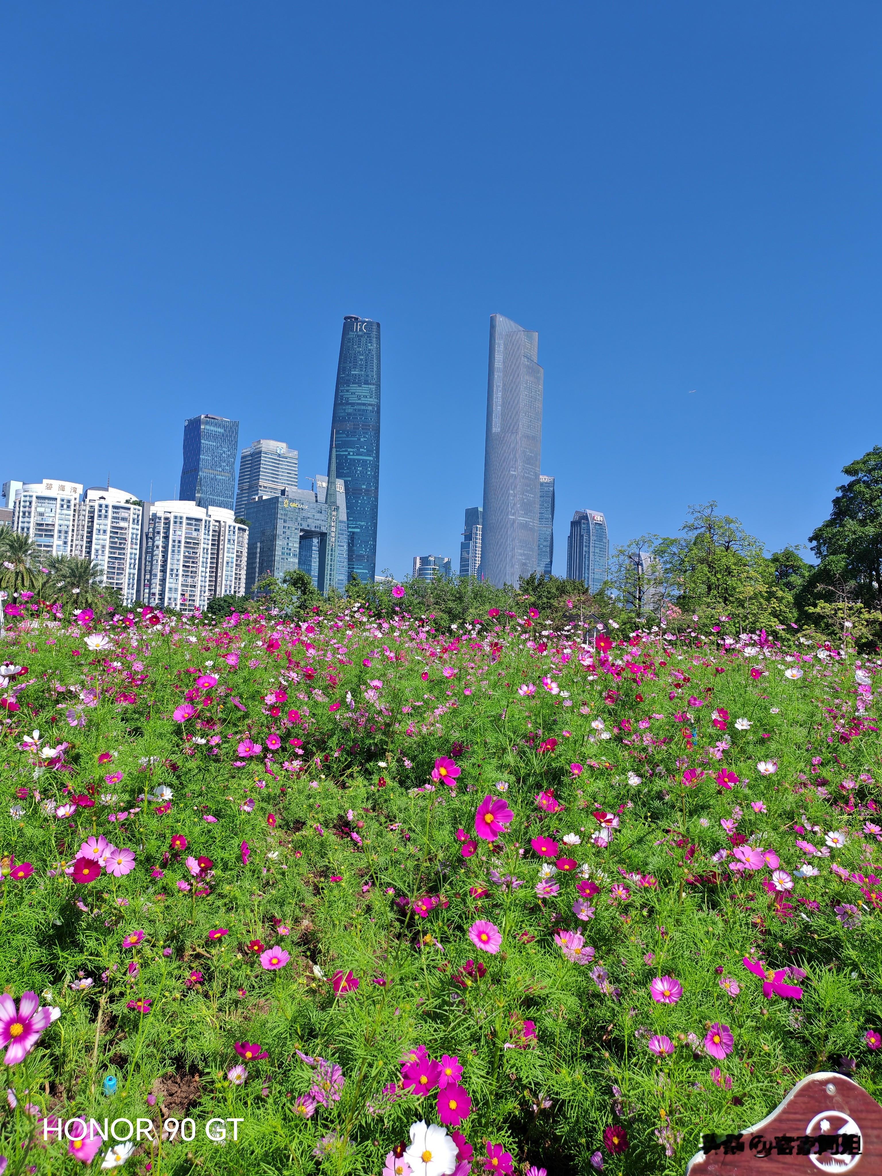 刚刚朋友打来视频，说太谢谢我了。  事情是这样的，朋友婉珠是我的老乡...