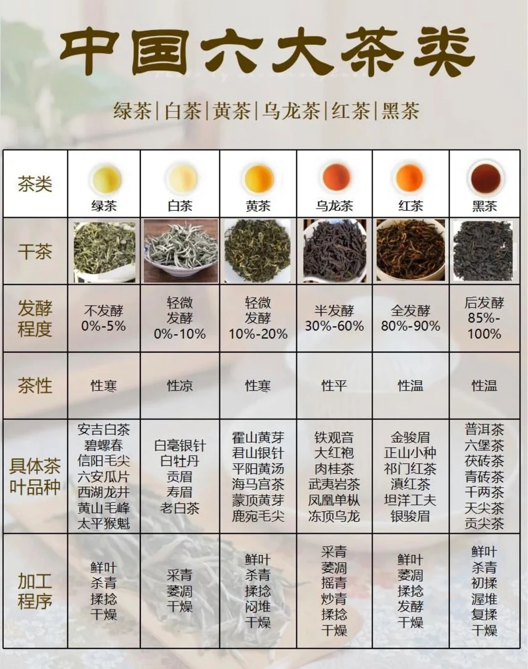 茶小白基础入门 | 六大茶类知识全解