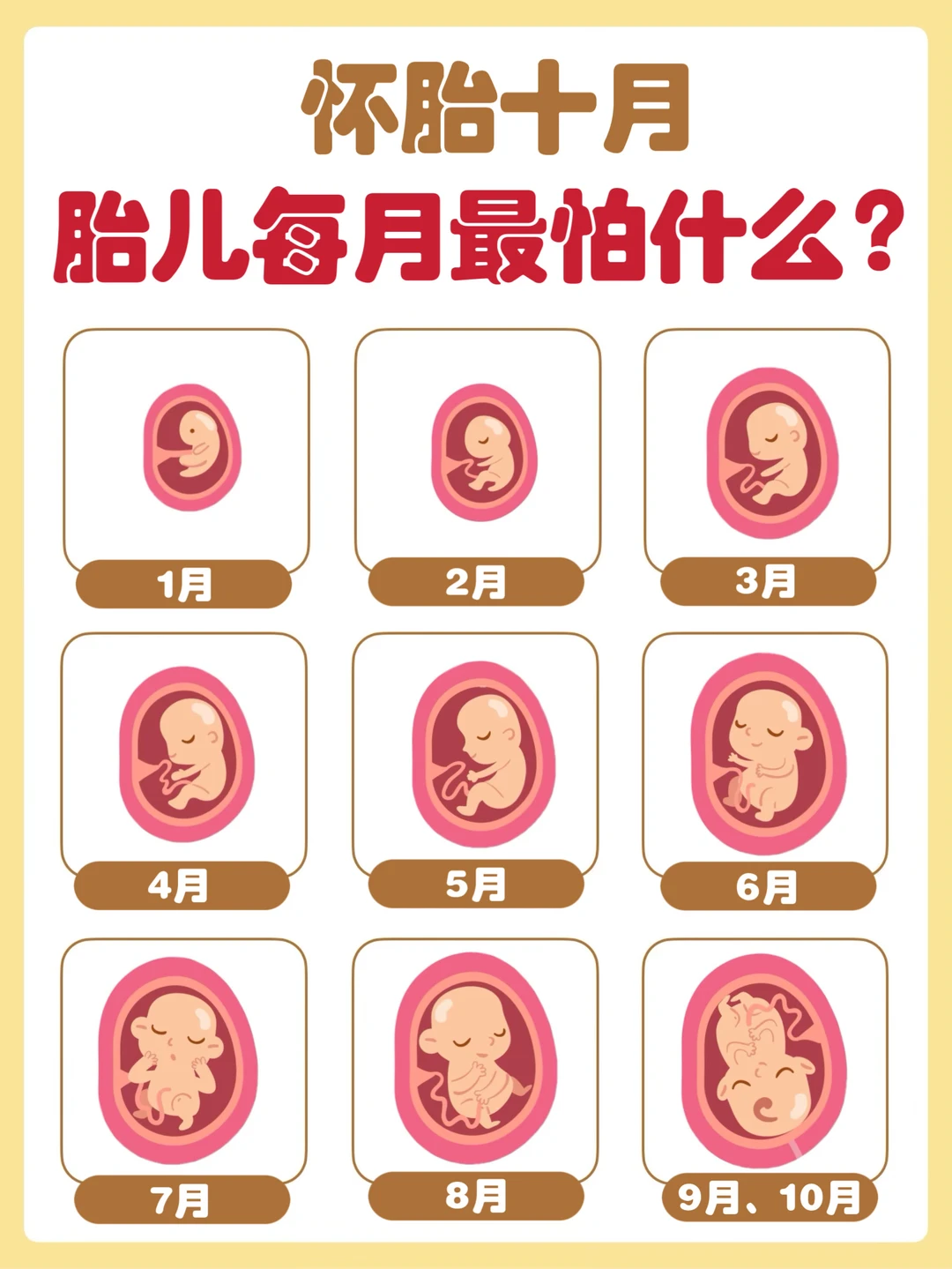 妈妈，请保护我！怀胎十月，胎儿最怕这些事