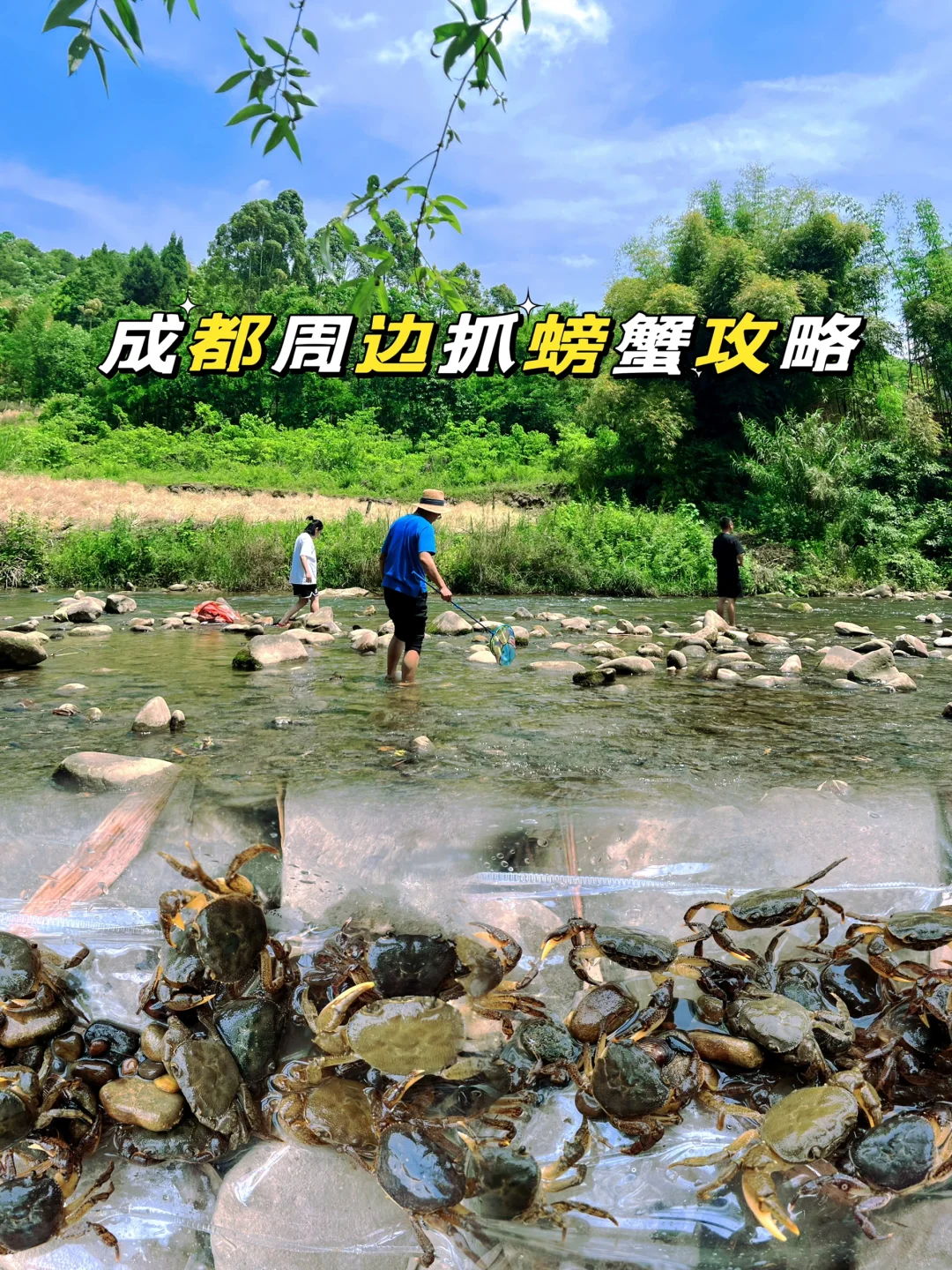 成都周边1h‼️🉑抓螃蟹🦀露营🏕️烧烤攻略详