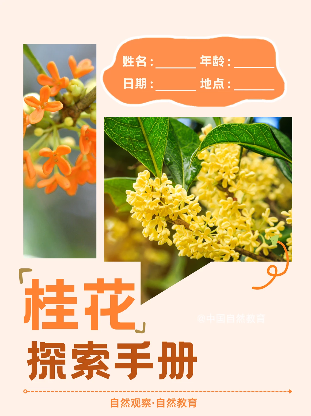 🍂自然教育 | 带娃解锁秋天的味道
