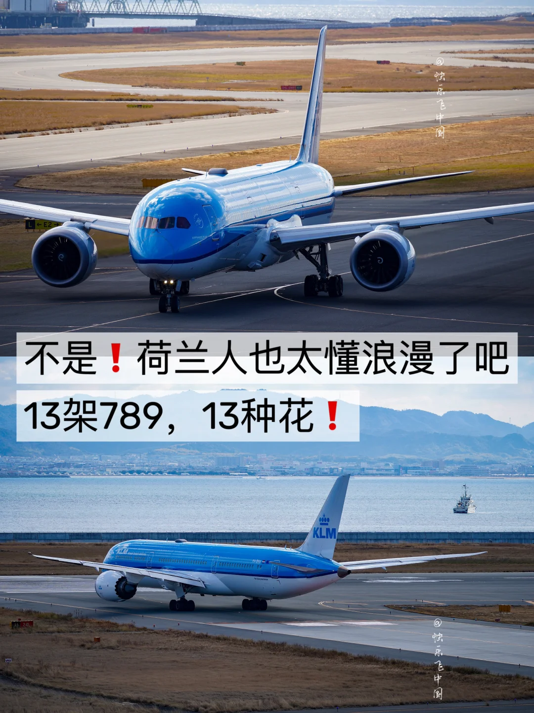 荷兰人也太懂浪漫了吧❗️13架789，13种花