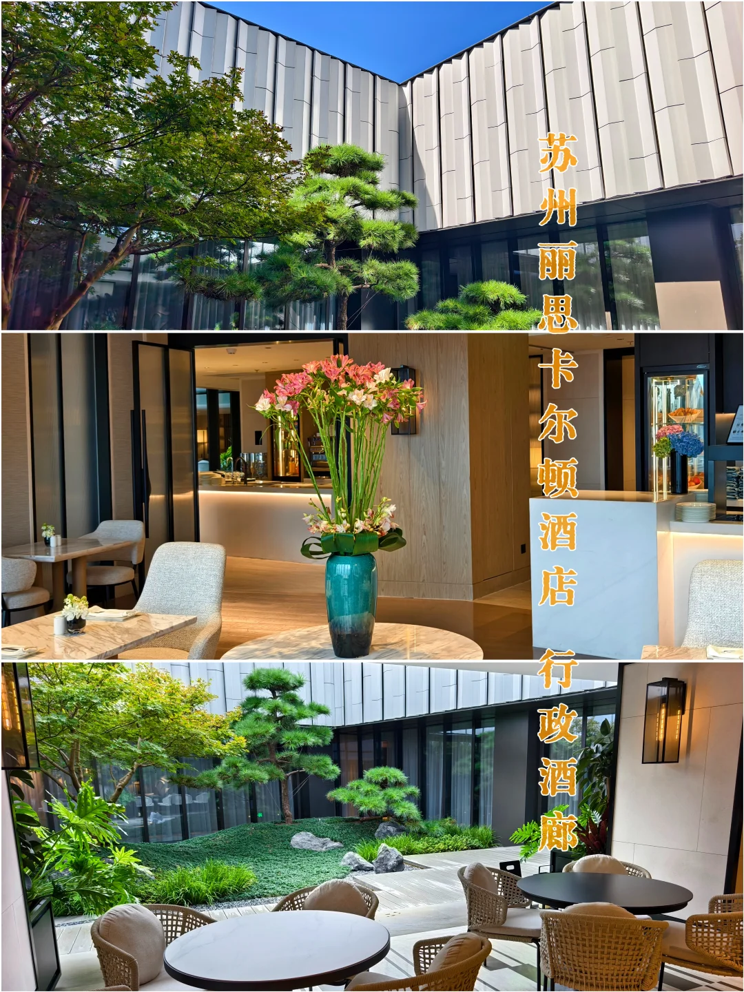 苏州丽思卡尔顿酒店|酒廊一天五顿是否值？