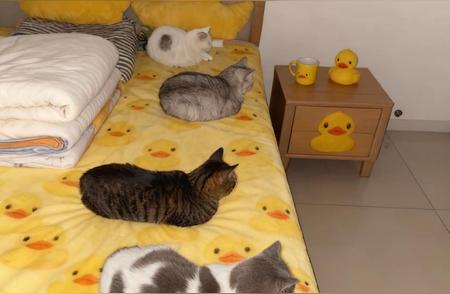 当一个女人被突然提出要带孩子回老家时，心里总会泛起一股莫名的失落和困惑...