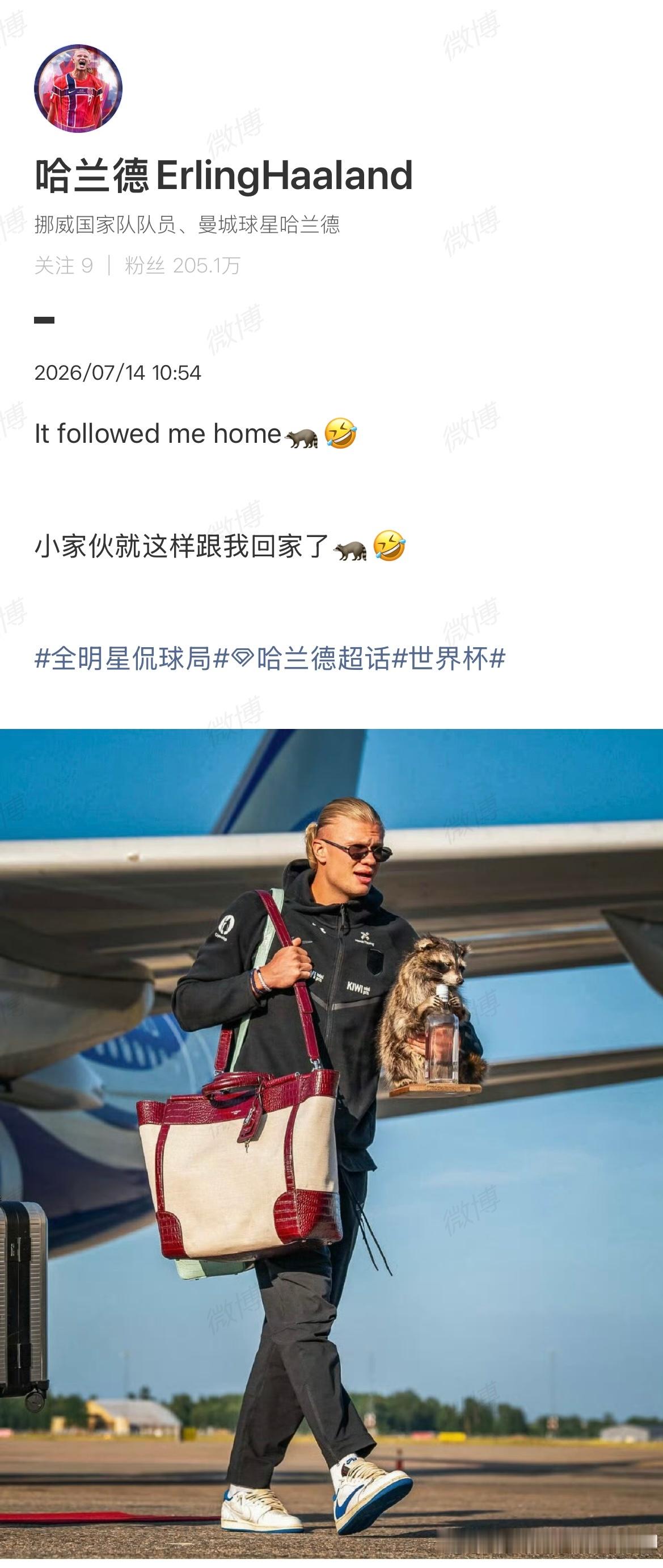 【 7月14日，据英国媒体《太阳报》报道，哈兰德在挪威队回国时抱着一只...