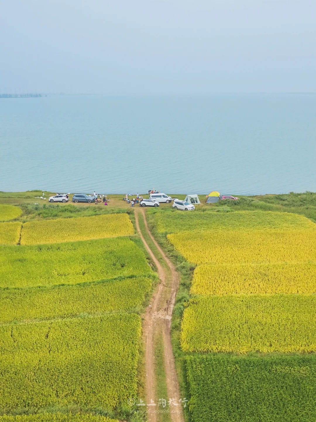 武汉无人打扰的稻香湖边露营｜免费人少