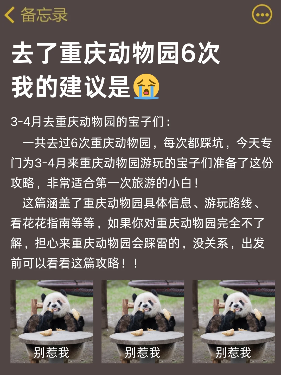 写给3-4🈷️准备去重庆动物园的姐妹👭