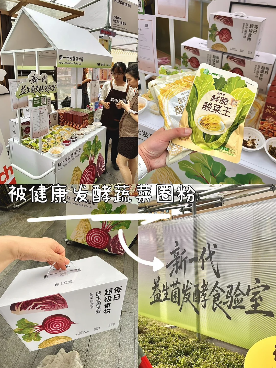 上海小众治愈展✨被健康发酵蔬菜圈粉