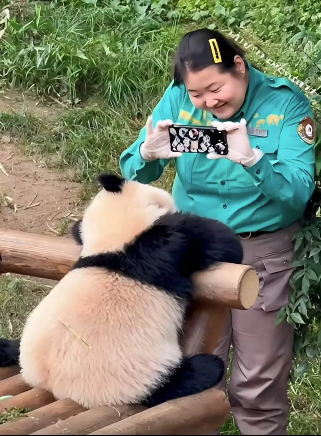 五一能拍出这么可爱的照片吗