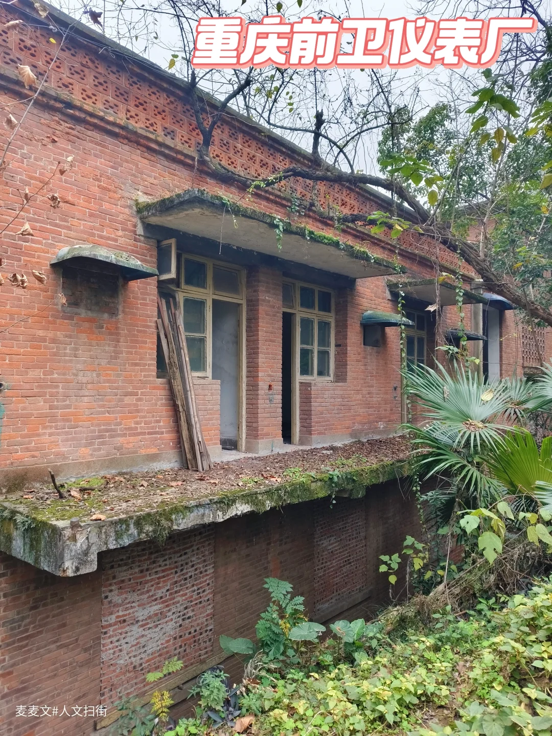 【江北】前卫仪表厂斑驳红砖下的旧时光