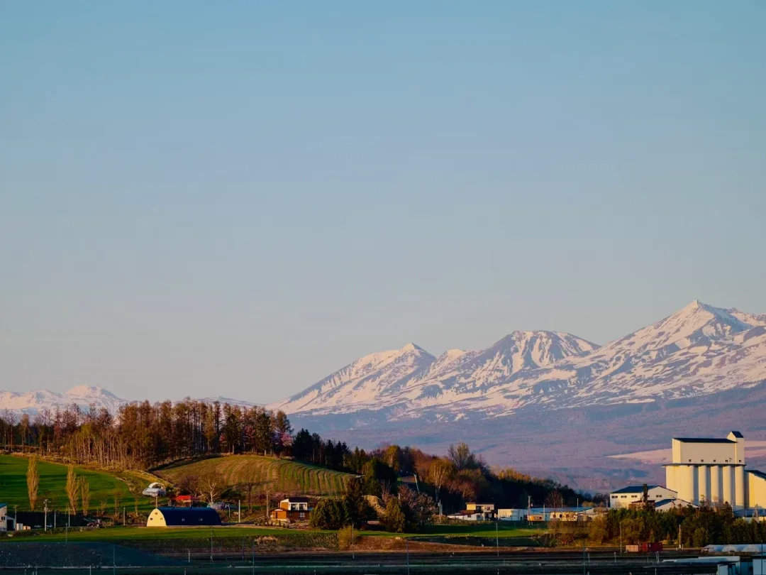 日本北海道丨住在神仙天然农场也太棒了吧！